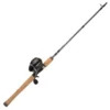 Pflueger President Spincast Combo Rod And Reel